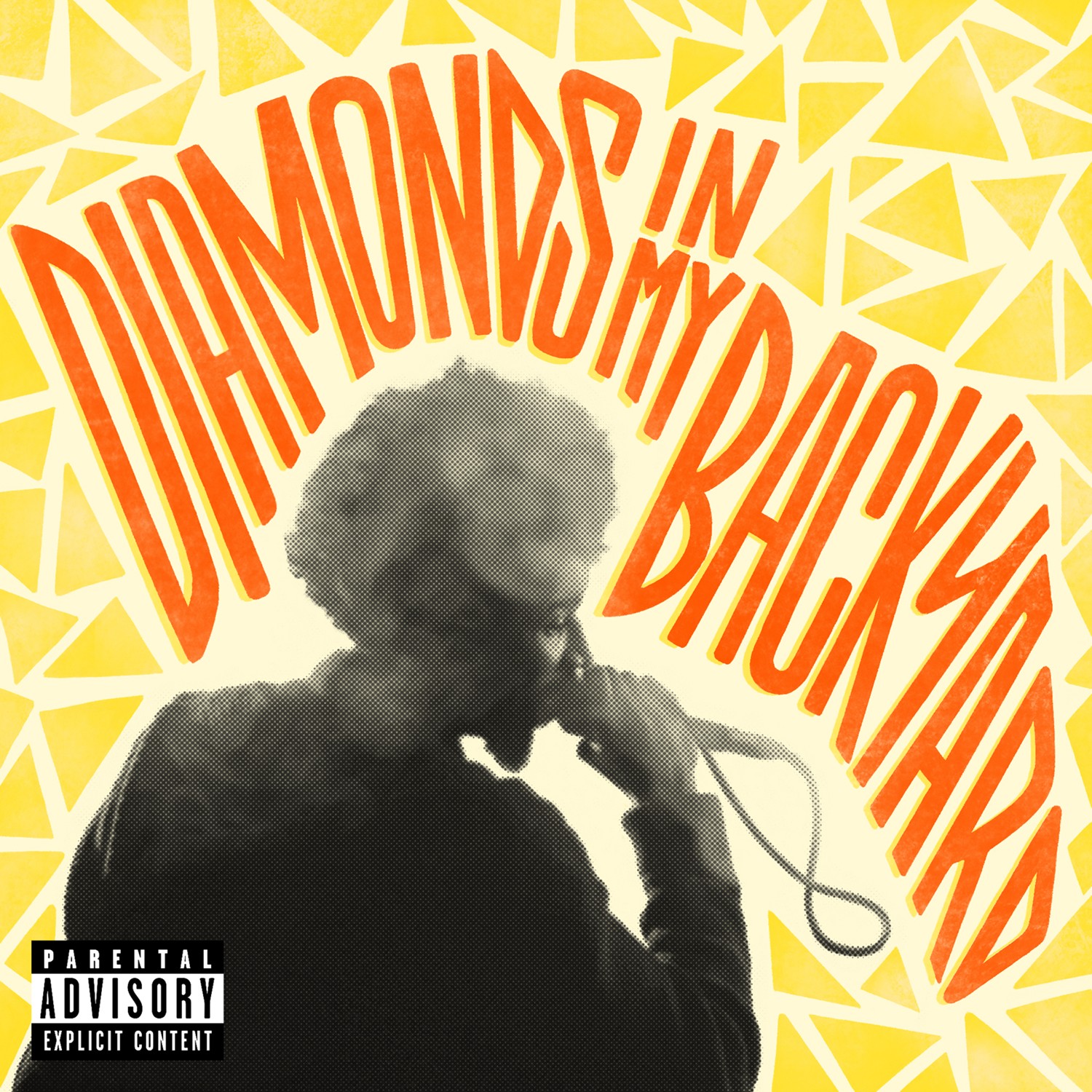 Diamonds in My Backyard artwork